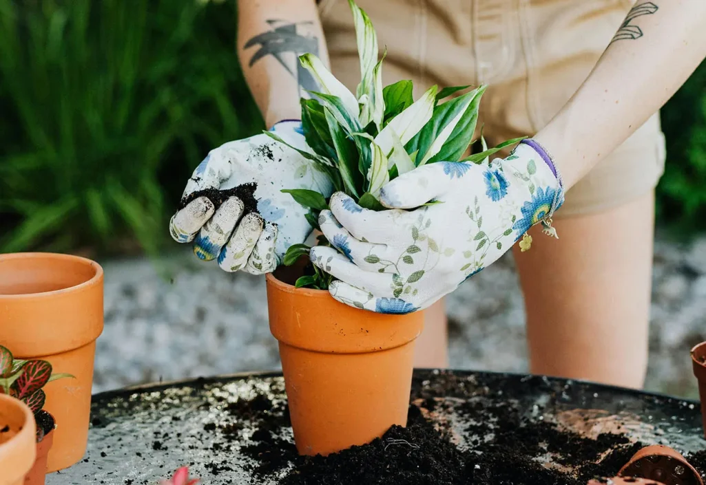 post-img-5-min post-img-5-min