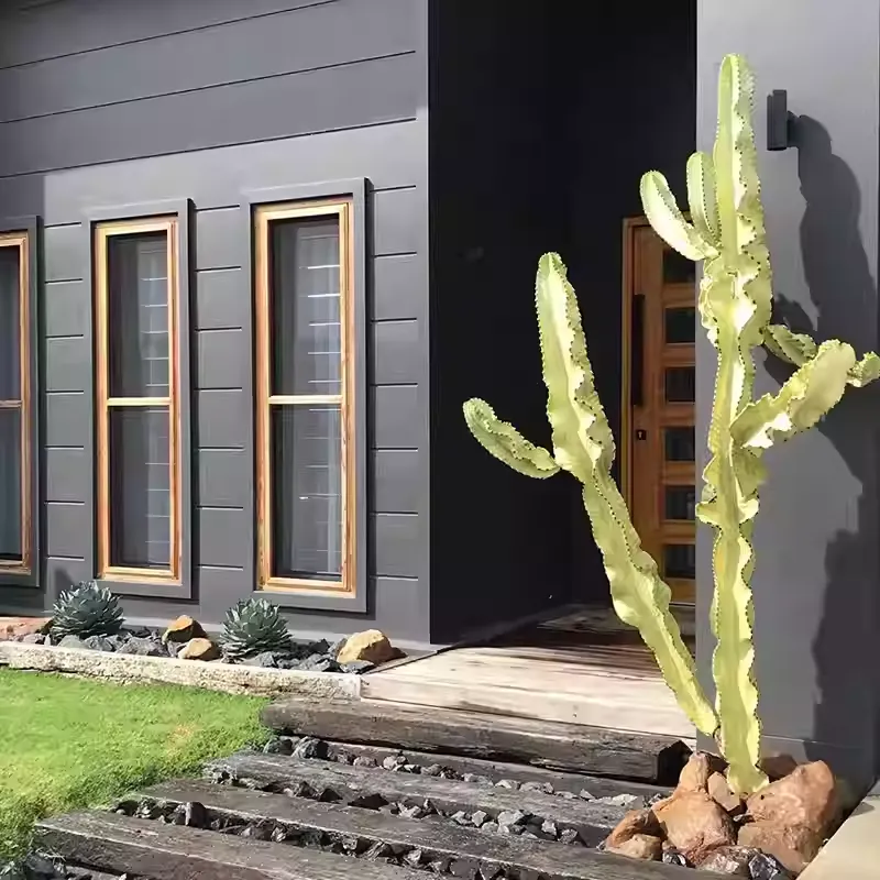 Euphorbia ammak f.variegata - Image 3